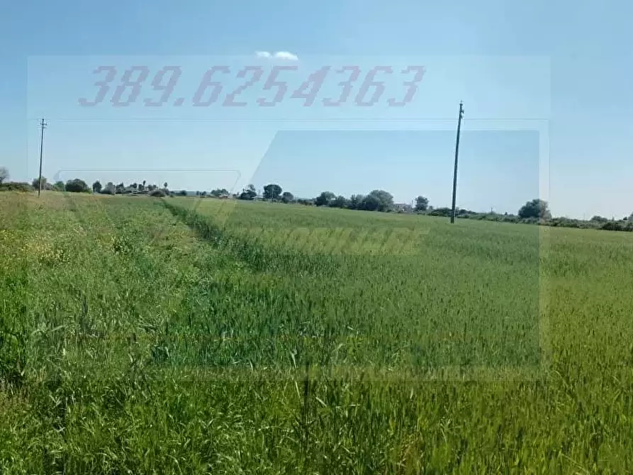 Immagine 15 di Terreno in vendita  in Strada Benali a Siracusa