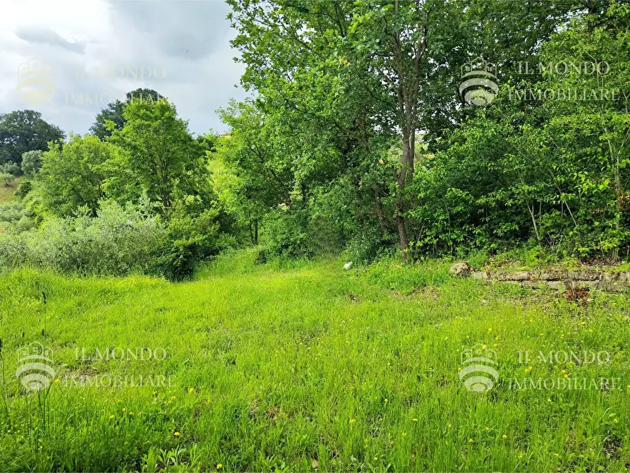 Immagine 21 di Casa bifamiliare in vendita  in Strada di Colle Fagiano a Palombara Sabina