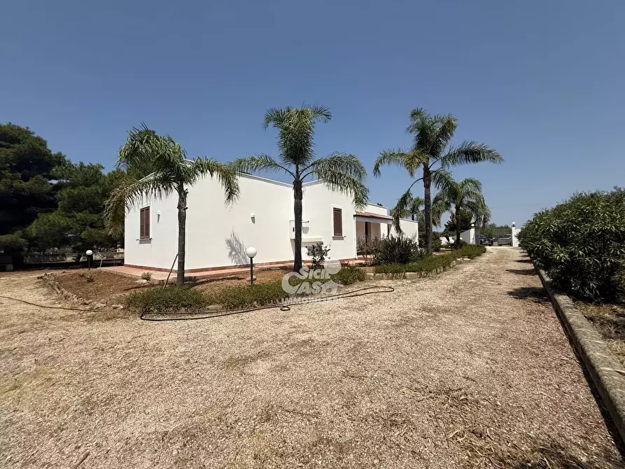 Immagine 13 di Terreno edificabile in vendita  a Marsala