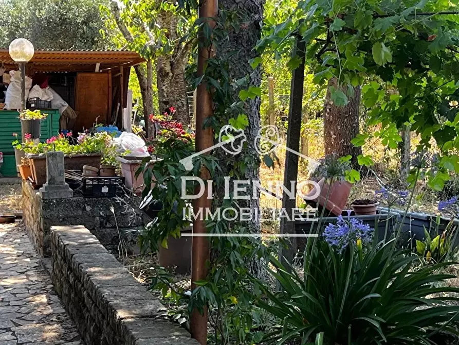 Immagine 45 di Terreno edificabile in vendita  in Strada Valle del Dragone a Arlena Di Castro