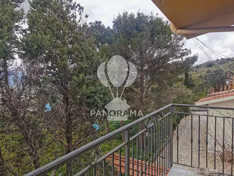 Immagine 6 di Terreno edificabile in vendita  in Contrada Ramo a Partinico