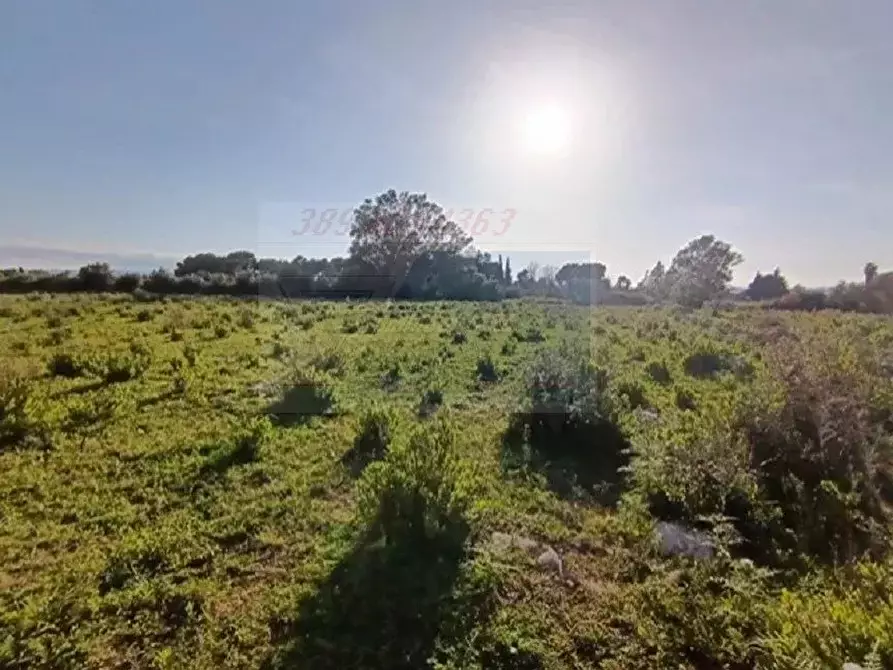 Immagine 6 di Terreno in vendita  in Traversa Masseria Gargallo a Siracusa