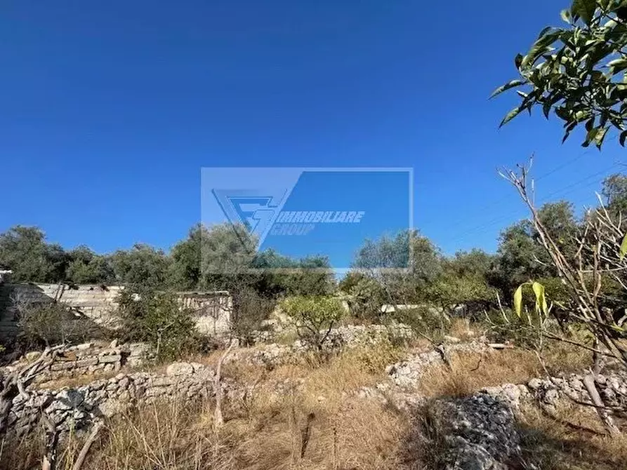 Immagine 3 di Terreno in vendita  in Traversa Mulino Marino a Siracusa