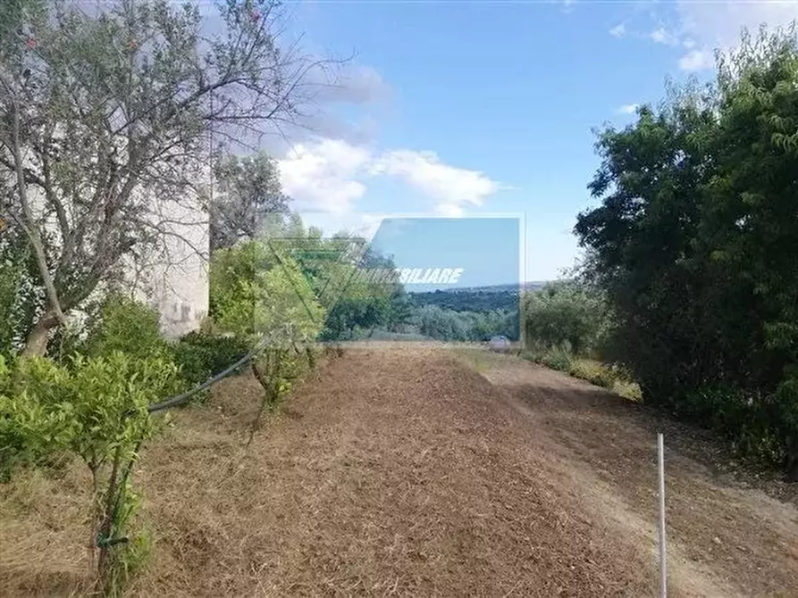 Immagine 5 di Terreno in vendita  a Siracusa