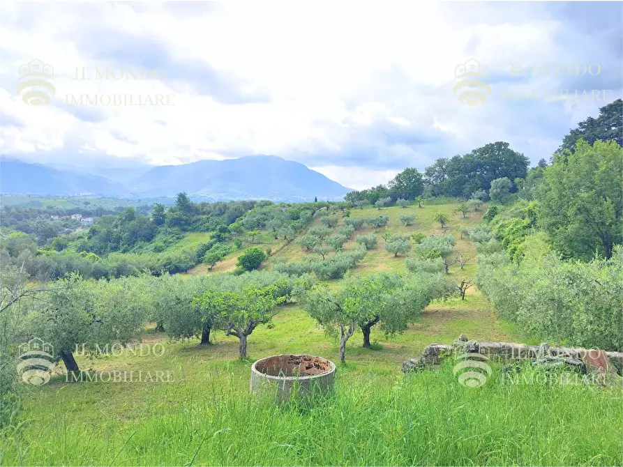Immagine 24 di Casa bifamiliare in vendita  in Strada di Colle Fagiano a Palombara Sabina