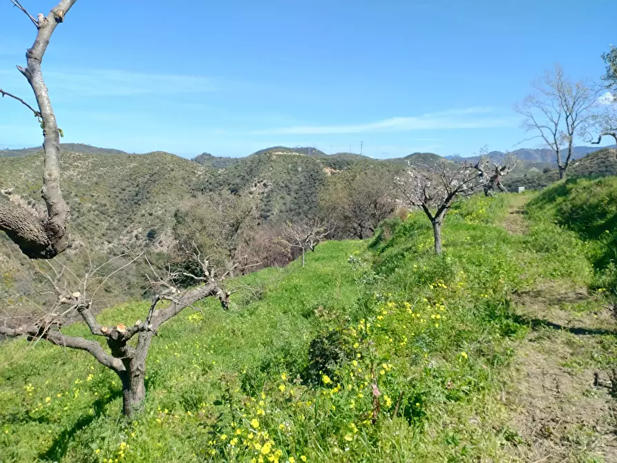 Immagine 15 di Terreno in vendita  in Contrada Bosco, roccavaldina, me a Condrò