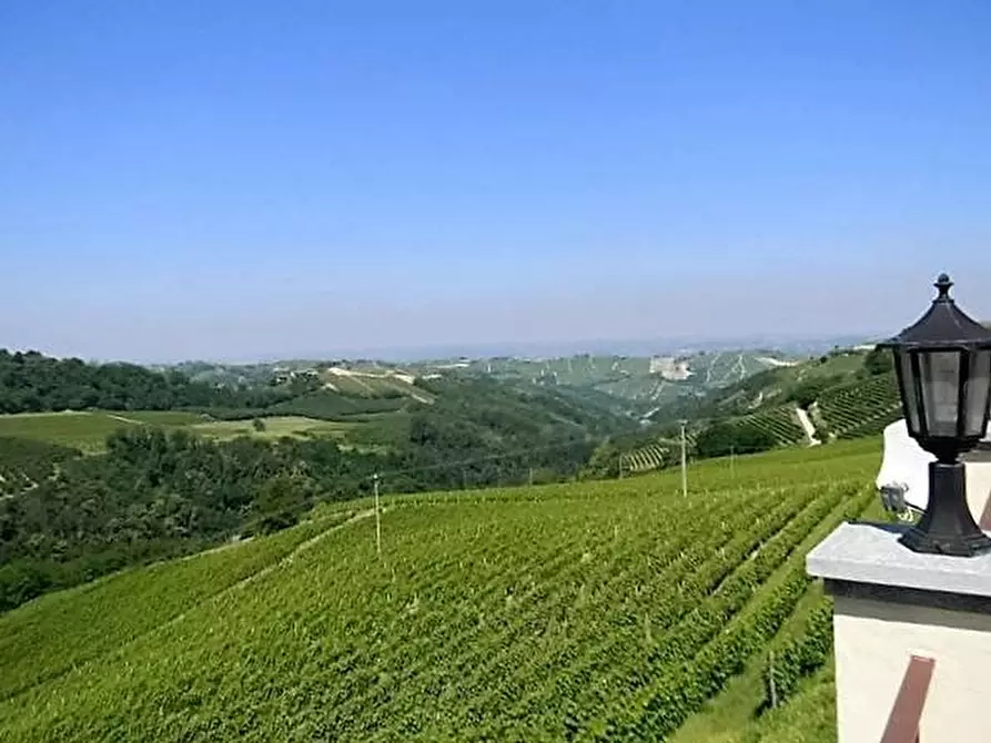 Immagine 5 di Terreno edificabile in vendita  a Mango