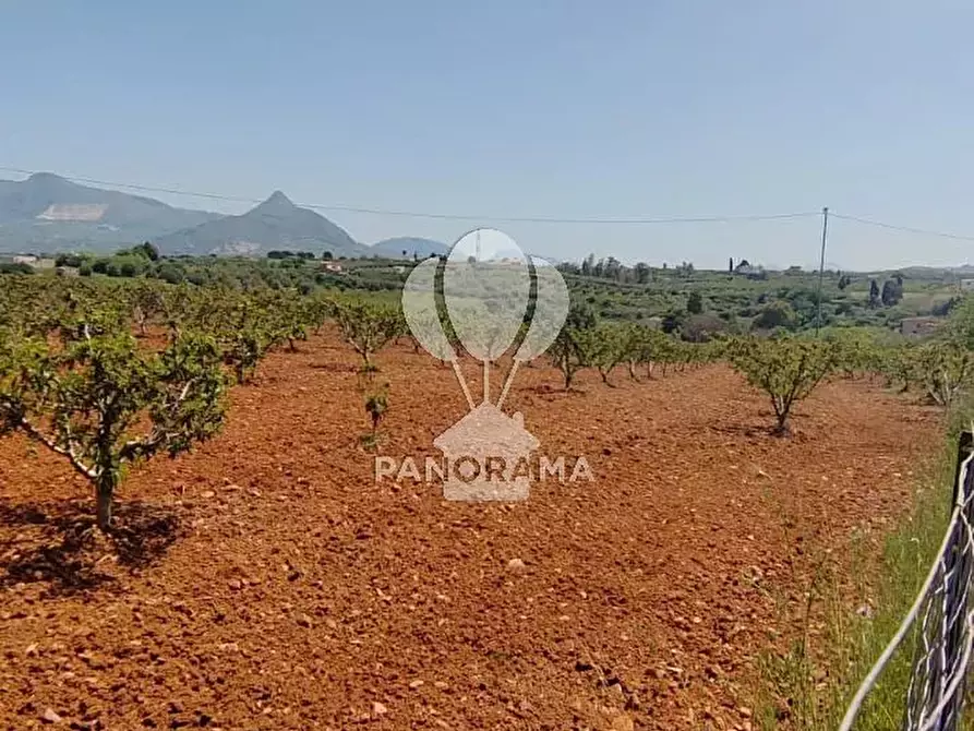 Immagine 12 di Terreno in vendita  in Via Adda Partinico a Partinico