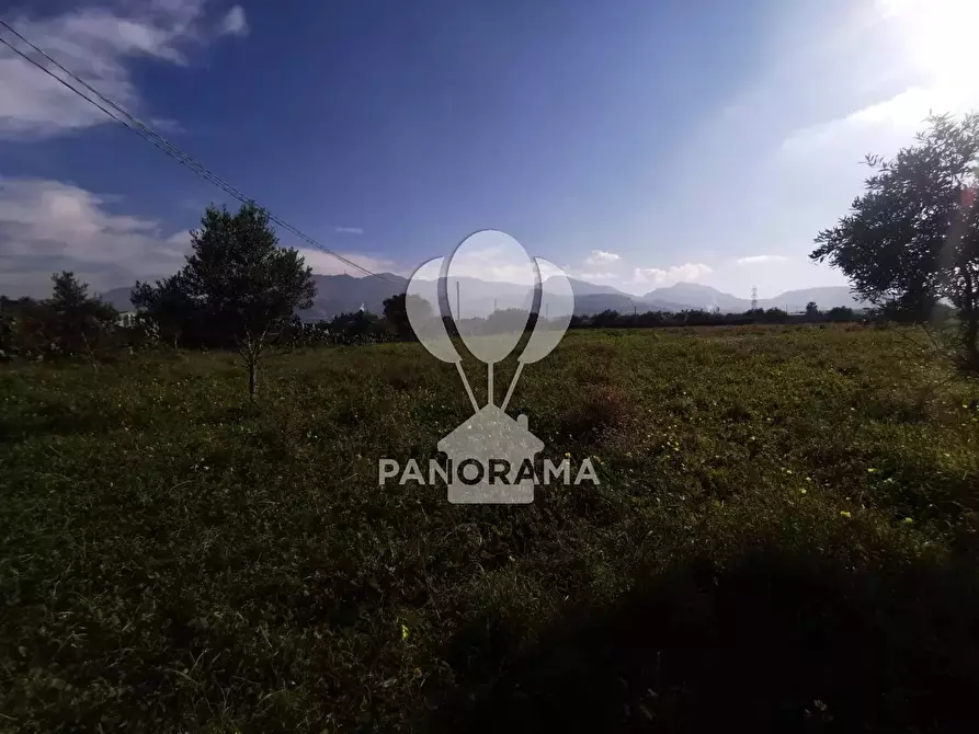 Immagine 7 di Terreno in vendita  in Via San Carlo a Partinico