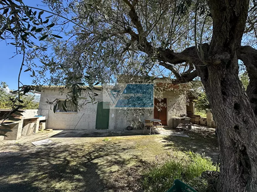 Immagine 3 di Terreno in vendita  a Noto