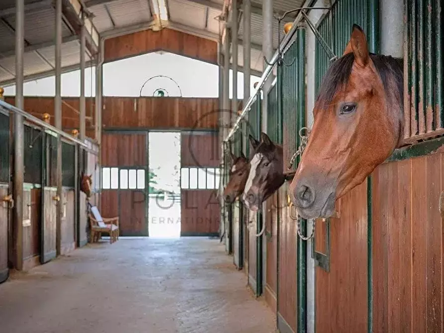 Immagine 25 di Terreno edificabile in vendita  in Pesaro a Pesaro