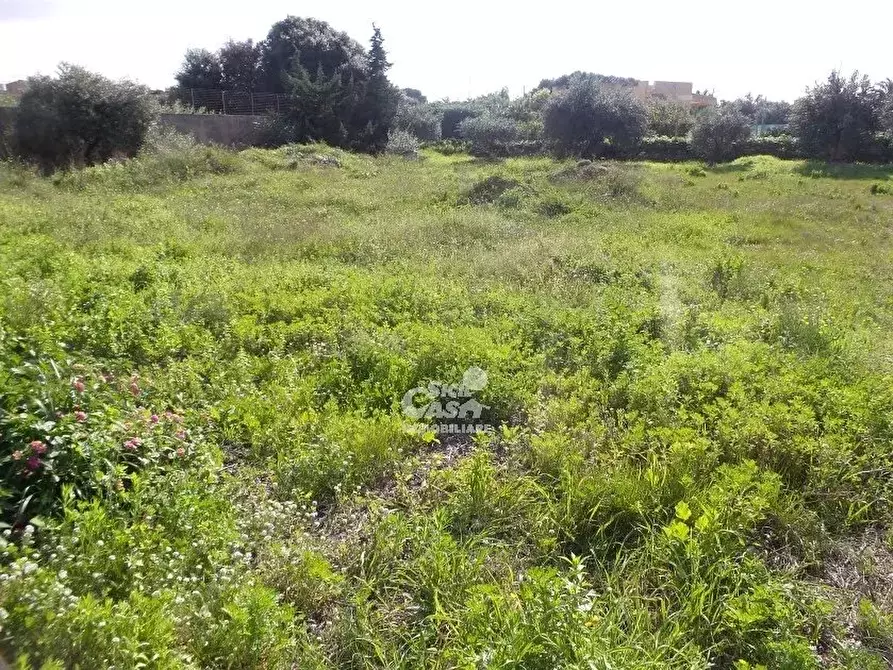 Immagine 8 di Terreno in vendita  a Marsala