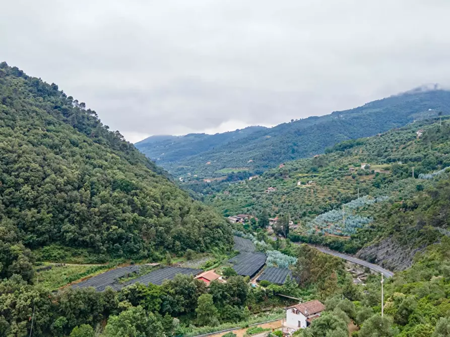 Immagine 9 di Terreno edificabile in vendita  in Regione Cartiera a Apricale