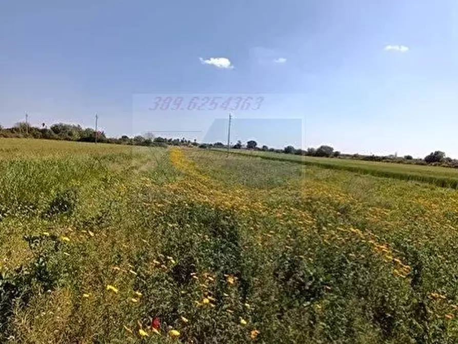 Immagine 18 di Terreno in vendita  in Strada Benali a Siracusa