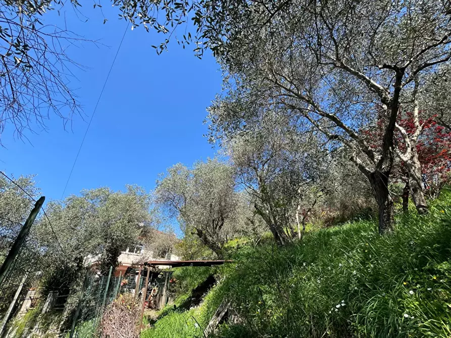 Immagine 13 di Casa trifamiliare in vendita  in Località San Pier di Canne Case Sparse a Chiavari