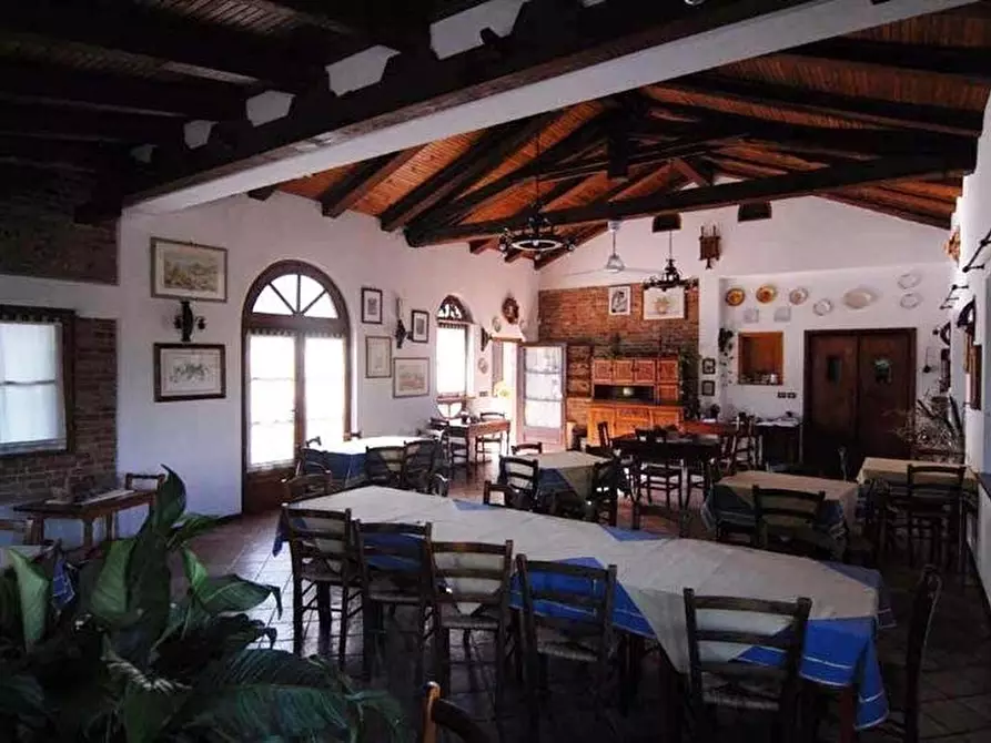 Immagine 6 di Terreno edificabile in vendita  a Dogliani