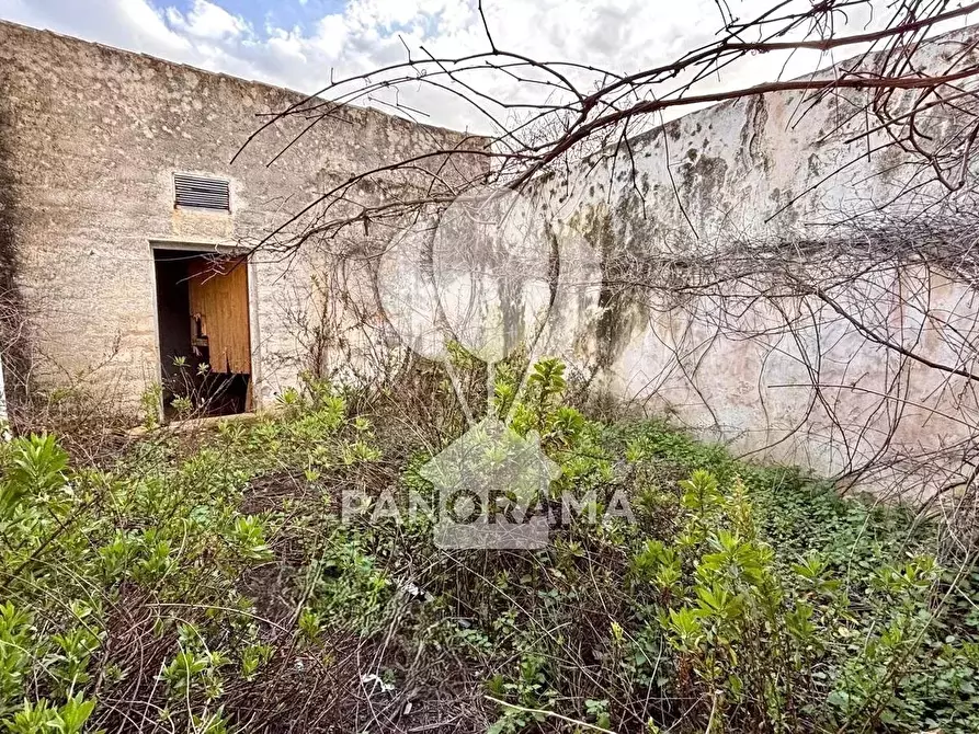 Immagine 3 di Terreno edificabile in vendita  in Contrada Bosco Falconeria SNC, 90047 Partinico PA, Italy a Partinico