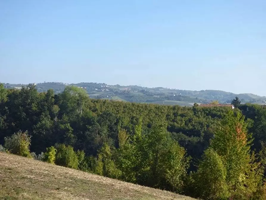 Immagine 21 di Terreno edificabile in vendita  a Dogliani