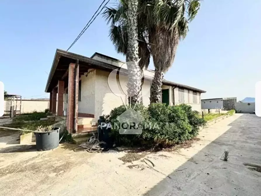 Immagine 24 di Terreno edificabile in vendita  in B&B falconeria a Partinico