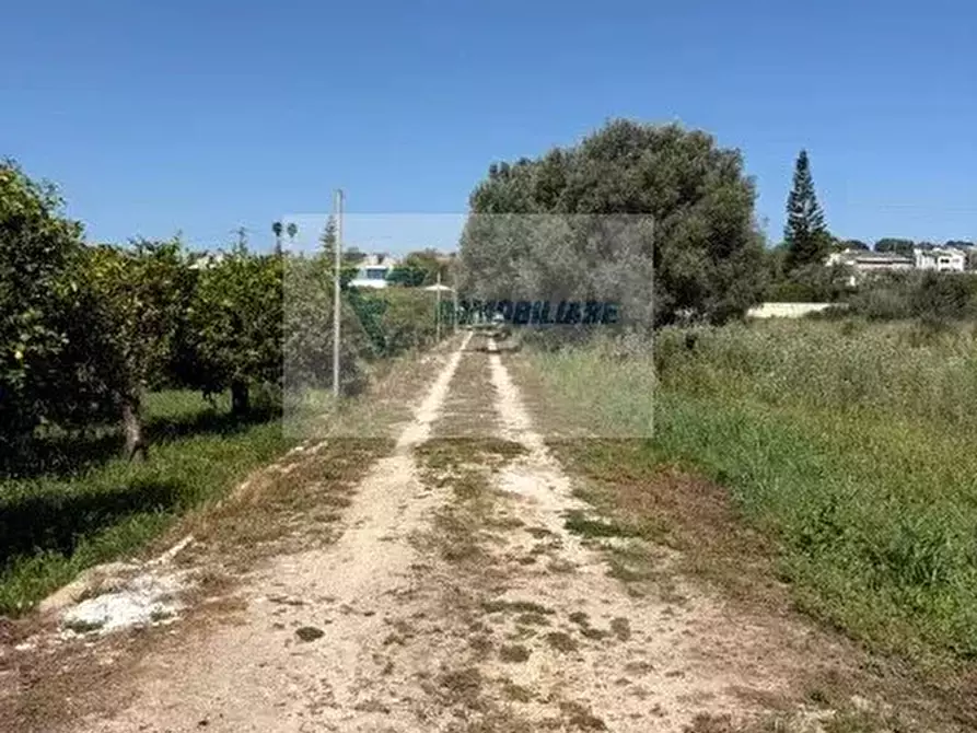 Immagine 40 di Terreno in vendita  in Strada Tremmilia a Siracusa