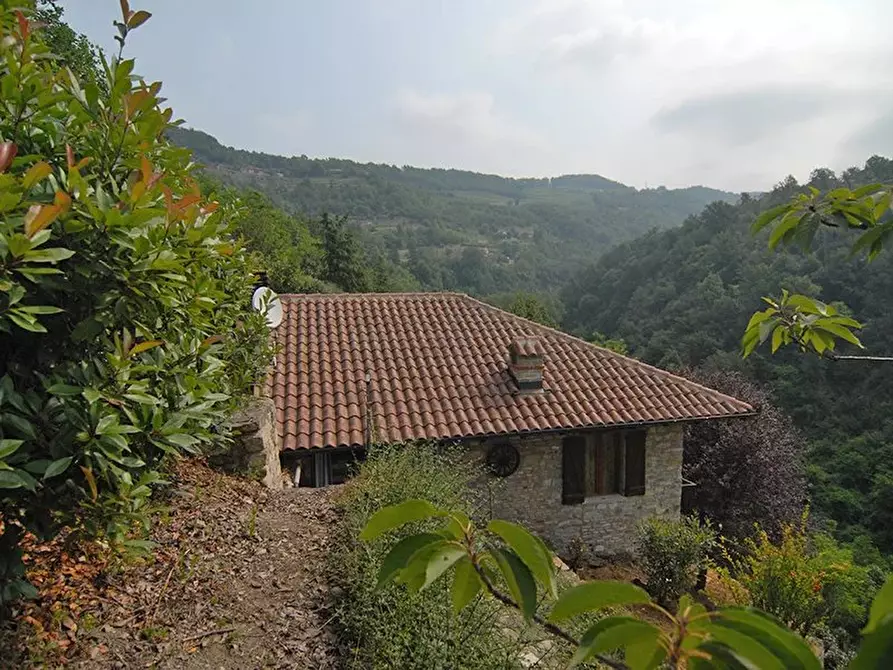 Immagine 20 di Terreno edificabile in vendita  a Bergolo