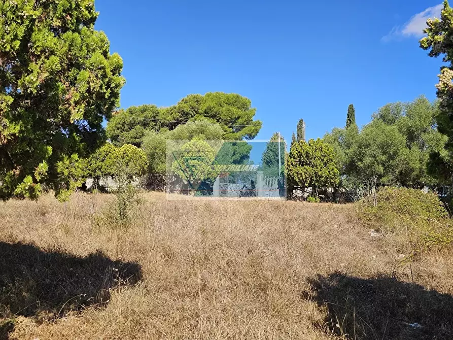 Immagine 10 di Terreno in vendita  a Avola