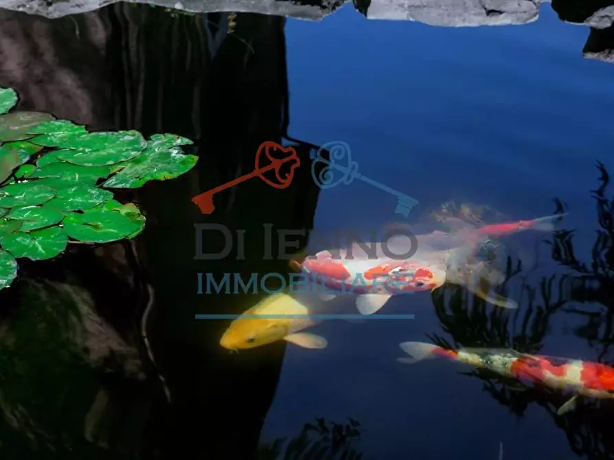 Immagine 5 di Casa trifamiliare in affitto  in Via Appia Pignatelli a Roma