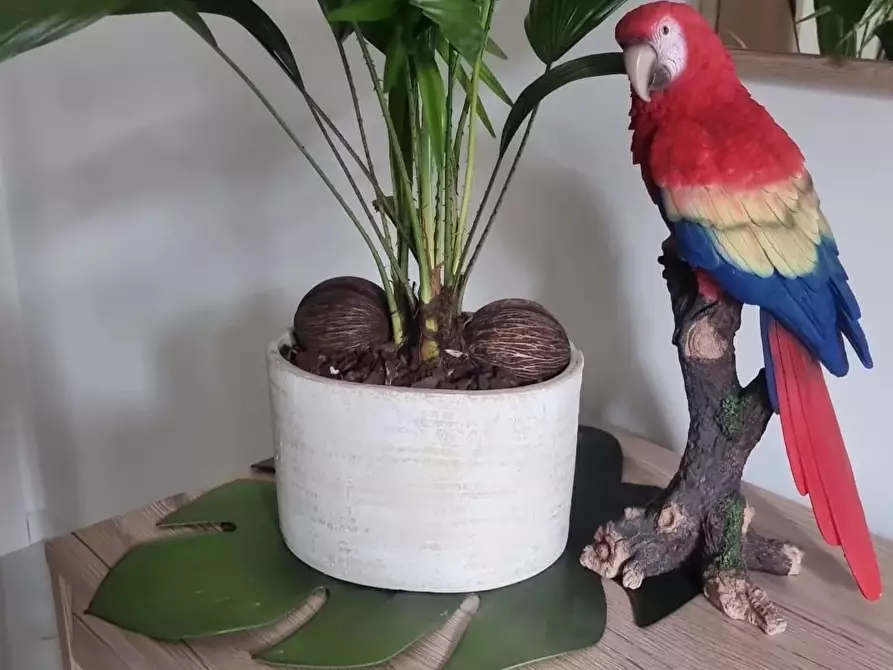 Immagine 7 di Casa trifamiliare in affitto  in Via Giuseppe Luosi a Milano