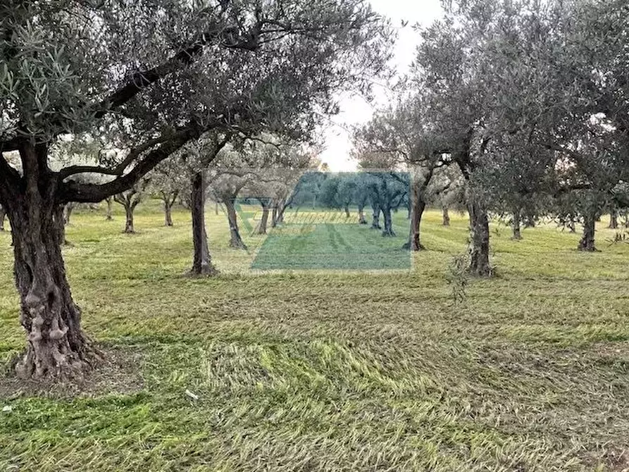 Immagine 2 di Terreno in vendita  in C.da  Carancino a Siracusa