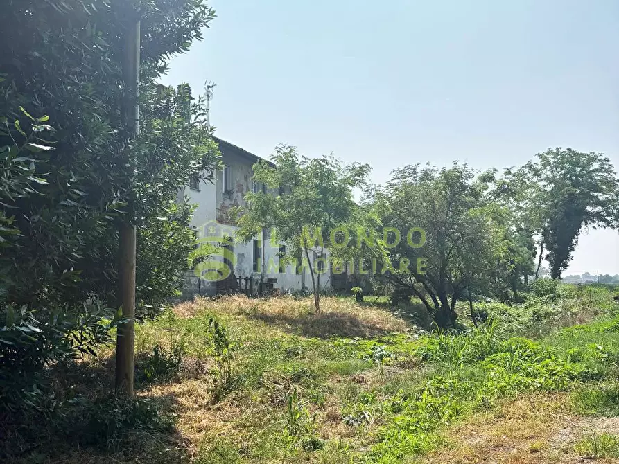 Immagine 20 di Terreno edificabile in vendita  in Via Boschi, snc a Alagna