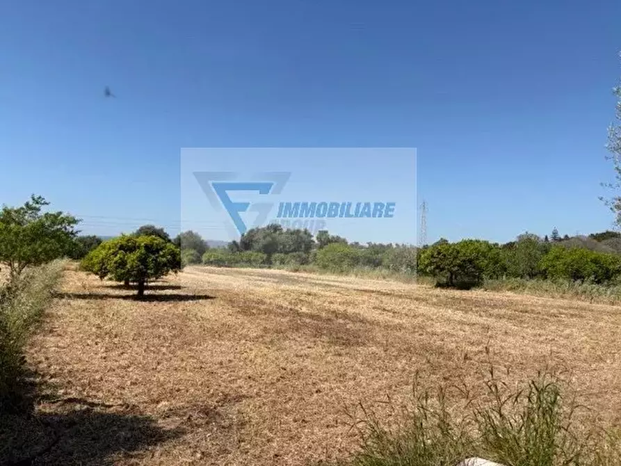 Immagine 9 di Terreno in vendita  in Strada Tremmilia a Siracusa
