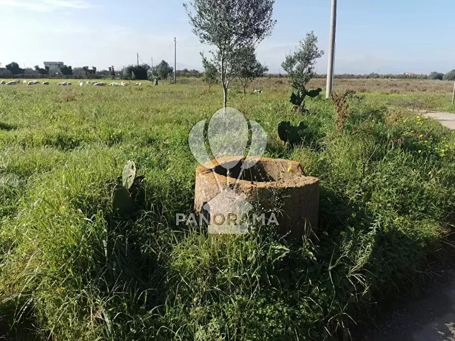 Immagine 6 di Terreno in vendita  in Via San Carlo a Partinico