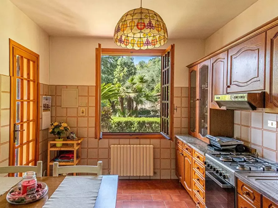 Immagine 6 di Terreno edificabile in vendita  in Strada degli Olandesi a Camporosso