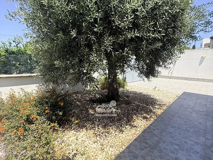 Immagine 40 di Terreno edificabile in vendita  a Castelvetrano