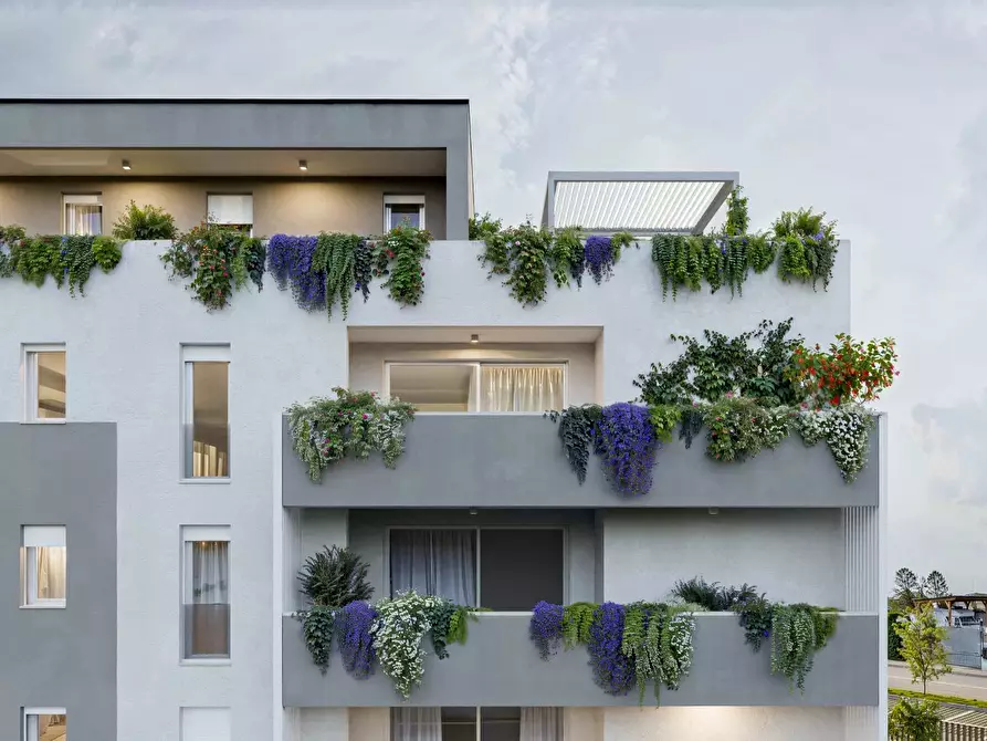 Immagine 9 di Casa trifamiliare in vendita  a Piove Di Sacco