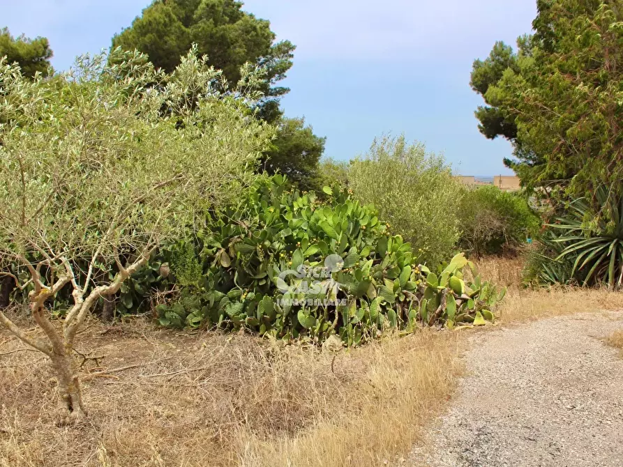 Immagine 8 di Terreno edificabile in vendita  a Marsala