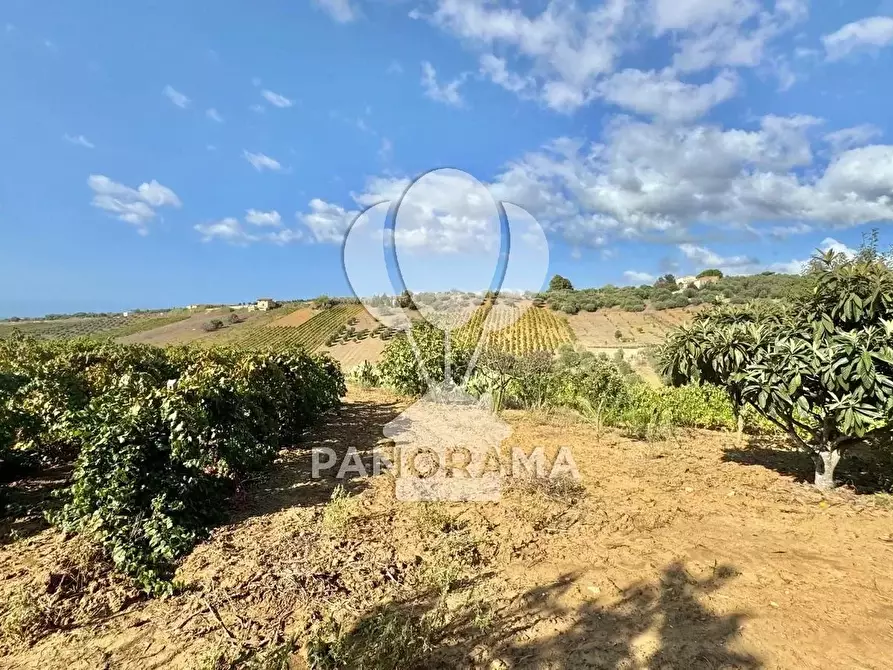 Immagine 39 di Terreno edificabile in vendita  in Contrada Casale a Alcamo