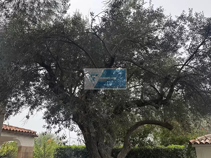 Immagine 8 di Terreno edificabile in vendita  in Rametta noto a Noto