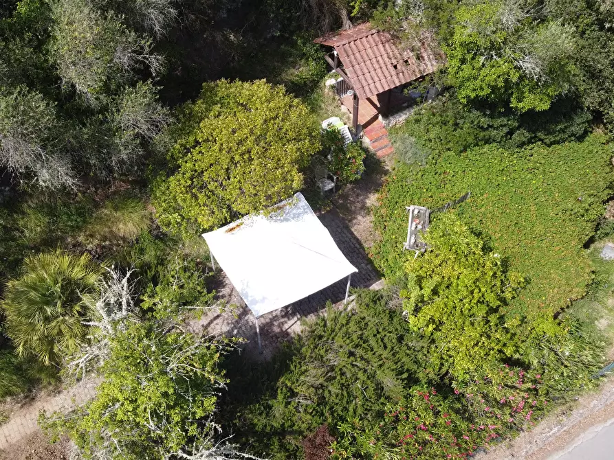 Immagine 31 di Terreno edificabile in vendita  a Apricale