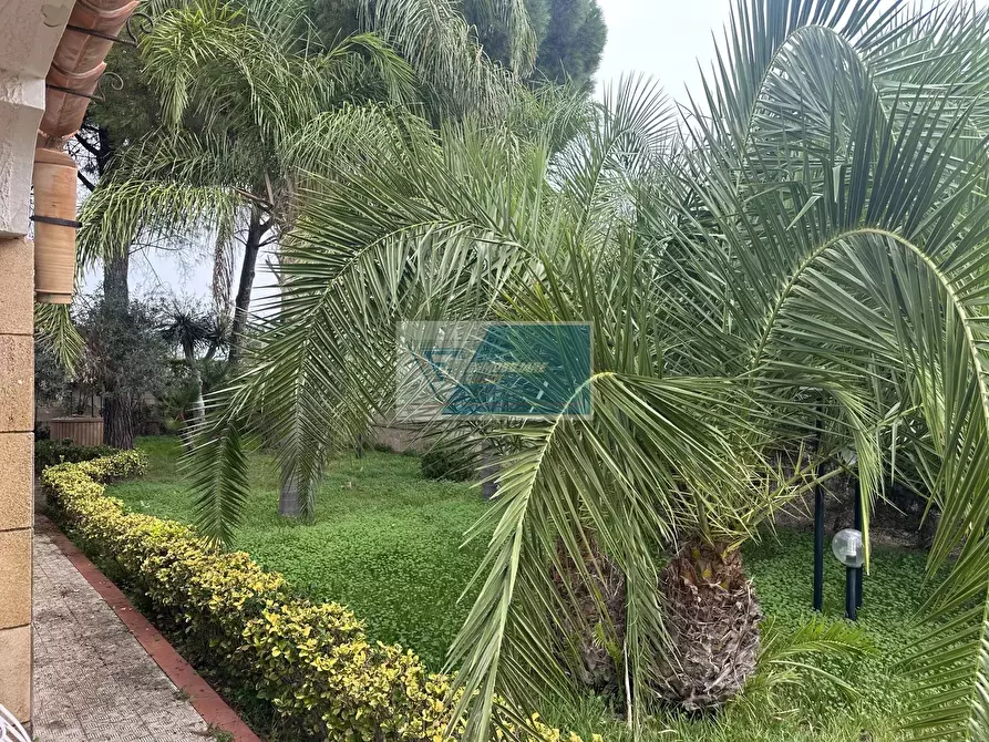 Immagine 5 di Terreno edificabile in vendita  in Rametta noto a Noto