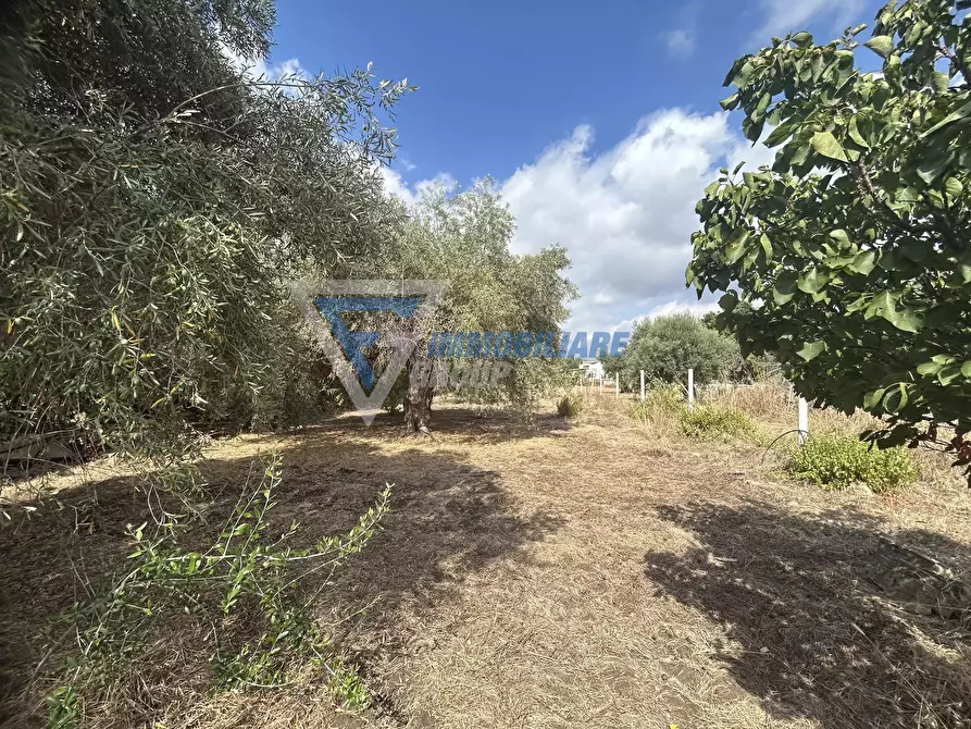 Immagine 6 di Terreno edificabile in vendita  in Traversa Masseria Gargallo a Siracusa
