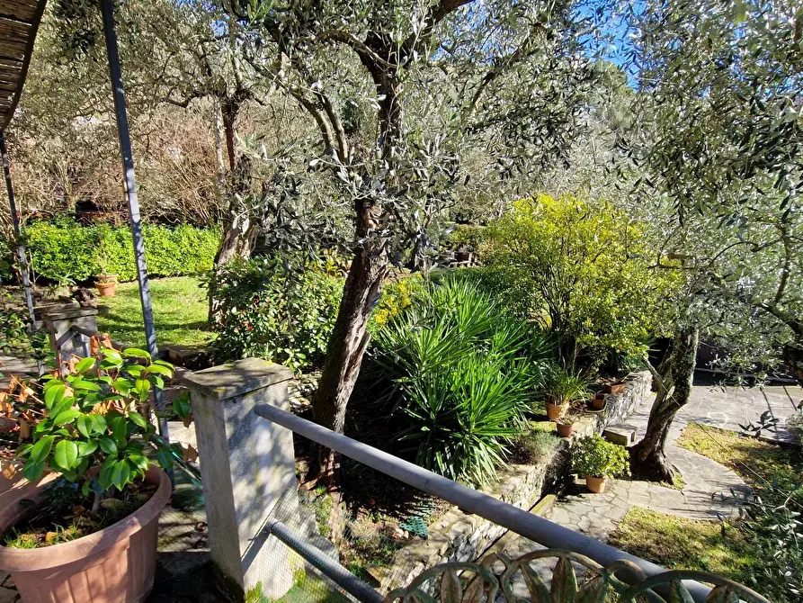 Immagine 29 di Terreno edificabile in vendita  in Via Domenico Canata a Avegno