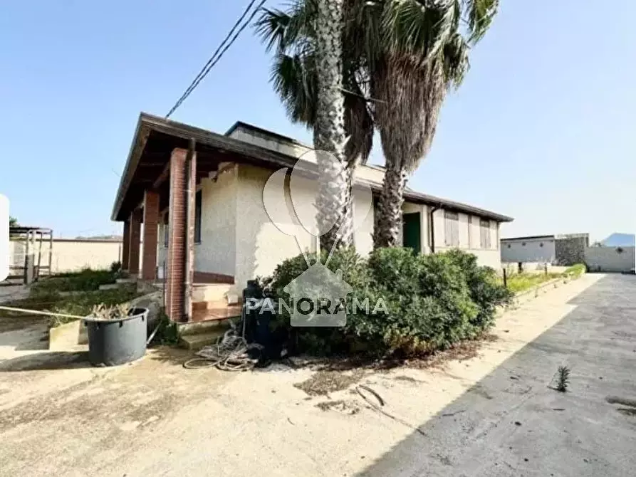 Immagine 3 di Terreno edificabile in vendita  in B&B falconeria a Partinico