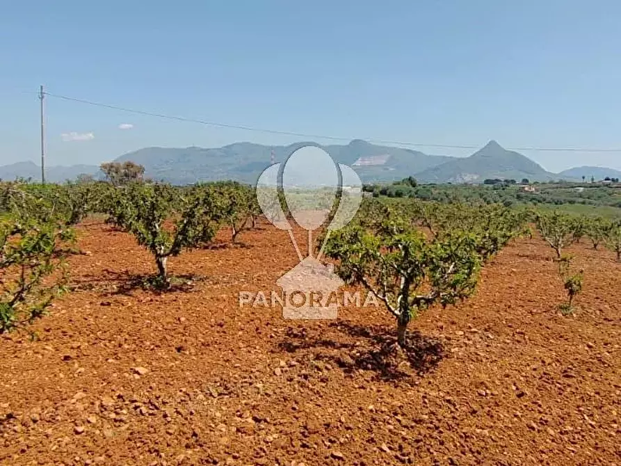 Immagine 14 di Terreno in vendita  in Via Adda Partinico a Partinico