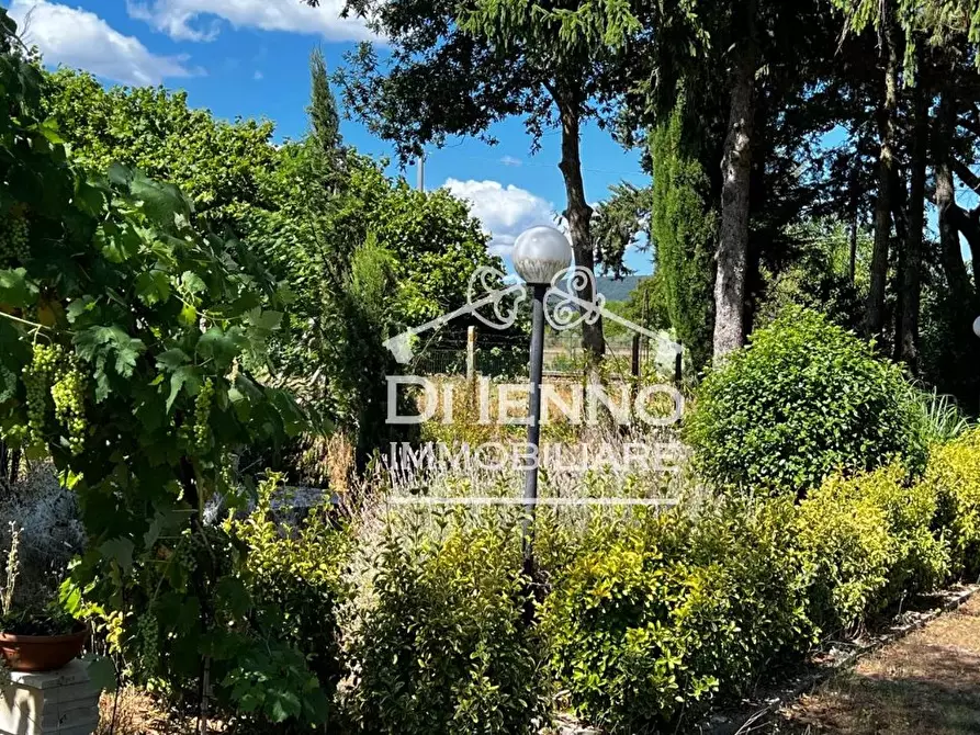 Immagine 32 di Terreno edificabile in vendita  in Strada Valle del Dragone a Arlena Di Castro