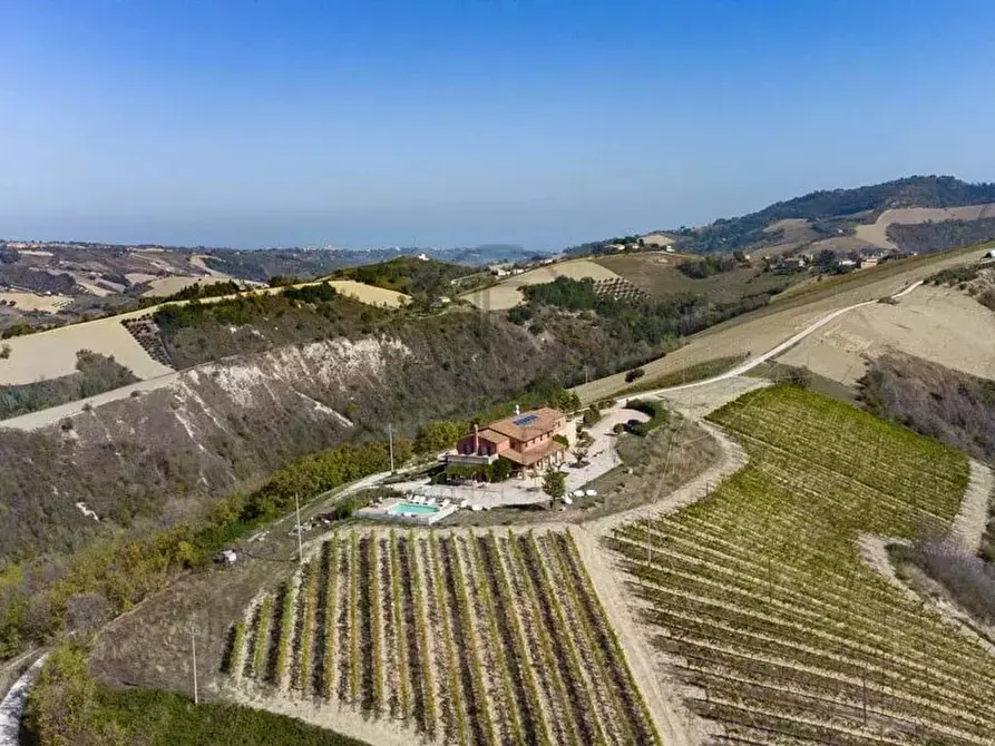 Immagine 8 di Terreno edificabile in vendita  in ripatransone a Ripatransone