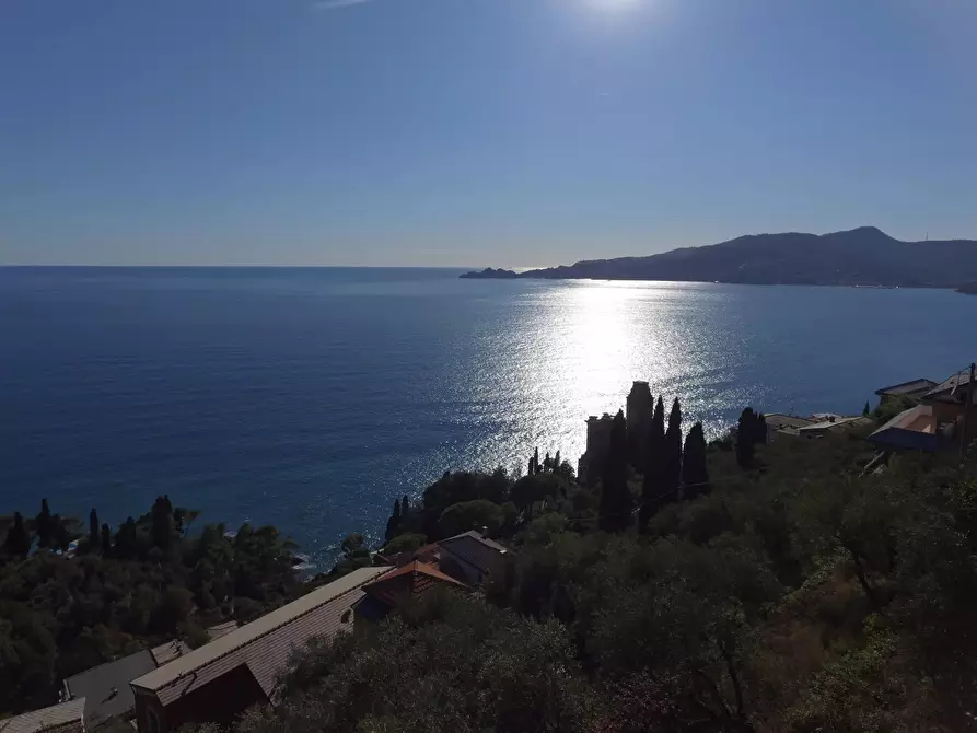 Immagine 28 di Terreno edificabile in vendita  in San Pietro de Rovereto a Avegno