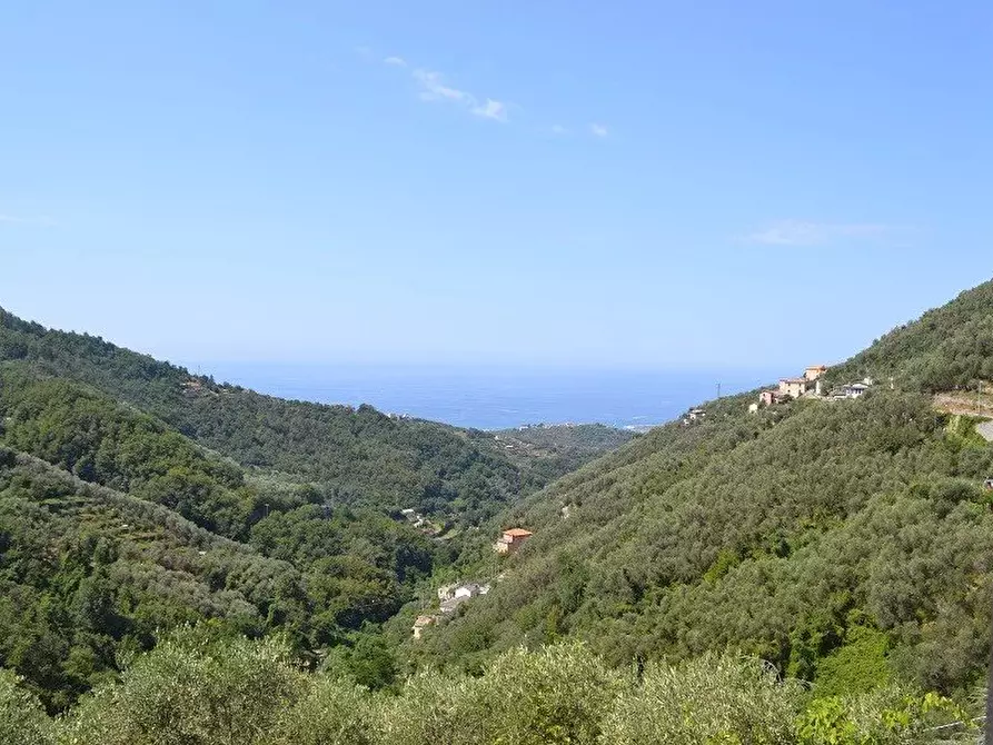 Immagine 1 di Terreno edificabile in vendita  in Via della Madonnetta a Cogorno