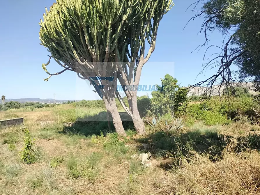 Immagine 11 di Terreno edificabile in vendita  in Traversa Vallone Carancino a Siracusa