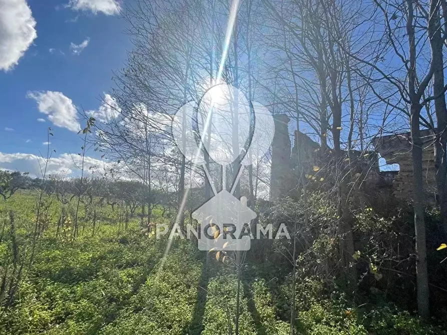 Immagine 6 di Terreno edificabile in vendita  in contrada velez a Balestrate